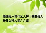 墨西哥人算什么人種（墨西哥人是什么種人簡介介紹）