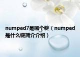 numpad7是哪個鍵（numpad是什么鍵簡介介紹）