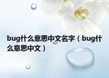 bug什么意思中文名字（bug什么意思中文）