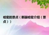 哈密的景點(diǎn)（新疆哈密介紹（景點(diǎn)））
