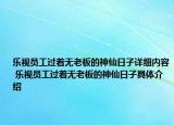 樂視員工過著無老板的神仙日子詳細(xì)內(nèi)容 樂視員工過著無老板的神仙日子具體介紹