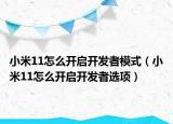 小米11怎么開(kāi)啟開(kāi)發(fā)者模式（小米11怎么開(kāi)啟開(kāi)發(fā)者選項(xiàng)）