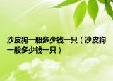 沙皮狗一般多少錢一只（沙皮狗一般多少錢一只）