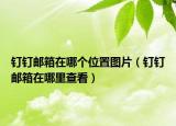 釘釘郵箱在哪個位置圖片（釘釘郵箱在哪里查看）