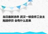 當(dāng)日最新消息 武漢一樓盤停工業(yè)主抱團(tuán)停貸 會(huì)有什么后果