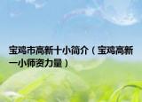 寶雞市高新十小簡(jiǎn)介（寶雞高新一小師資力量）
