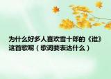 為什么好多人喜歡雪十郎的《誰》這首歌呢（歌詞要表達什么）