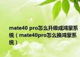 mate40 pro怎么升級(jí)成鴻蒙系統(tǒng)（mate40pro怎么換鴻蒙系統(tǒng)）