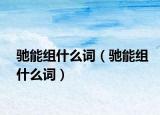 馳能組什么詞（馳能組什么詞）