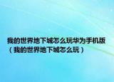 我的世界地下城怎么玩華為手機(jī)版（我的世界地下城怎么玩）