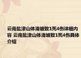 云南鹽津山體滑坡致1死4傷詳細內容 云南鹽津山體滑坡致1死4傷具體介紹