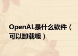 OpenAL是什么軟件（可以卸載嚒）