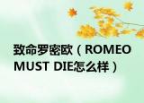 致命羅密歐（ROMEO MUST DIE怎么樣）