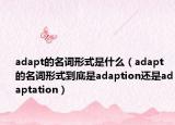 adapt的名詞形式是什么（adapt的名詞形式到底是adaption還是adaptation）