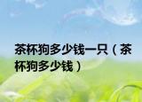 茶杯狗多少錢一只（茶杯狗多少錢）