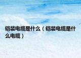 鎧裝電纜是什么（鎧裝電纜是什么電纜）