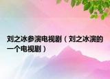 劉之冰參演電視?。▌⒅莸囊粋€(gè)電視?。? /></span></a>
                        <h2><a href=