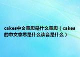 cakes中文意思是什么意思（cakes的中文意思是什么讀音是什么）
