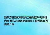 新東方辭退拒調(diào)崗員工被判賠38萬(wàn)詳細(xì)內(nèi)容 新東方辭退拒調(diào)崗員工被判賠38萬(wàn)具體介紹