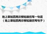 地上草如茵兩岸柳如眉仿寫(xiě)一句話（地上草如茵兩岸柳如眉仿寫(xiě)句子）