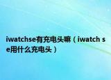 iwatchse有充電頭嘛（iwatch se用什么充電頭）