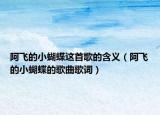 阿飛的小蝴蝶這首歌的含義（阿飛的小蝴蝶的歌曲歌詞）