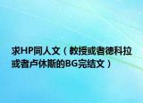 求HP同人文（教授或者徳科拉或者盧休斯的BG完結(jié)文）