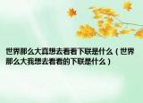 世界那么大真想去看看下聯(lián)是什么（世界那么大我想去看看的下聯(lián)是什么）