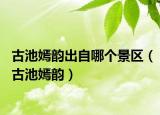 古池嫣韻出自哪個景區(qū)（古池嫣韻）