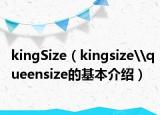 kingSize（kingsize\queensize的基本介紹）