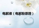 電解液（電解粉原理）