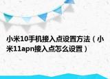 小米10手機(jī)接入點(diǎn)設(shè)置方法（小米11apn接入點(diǎn)怎么設(shè)置）