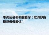 歌詞我會傻傻的愛你（歌詞你我愿意傻傻愛你）