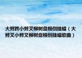 大劈跨小劈叉柳樹盤根倒掛蠟（大劈叉小劈叉柳樹盤根倒掛蠟歌曲）