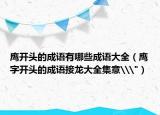 鷹開頭的成語有哪些成語大全（鷹字開頭的成語接龍大全集意\