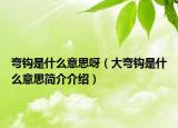 彎鉤是什么意思呀（大彎鉤是什么意思簡介介紹）