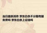 當(dāng)日最新消息 京東白條不分期有服務(wù)費(fèi)嗎 京東白條上征信嗎