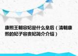 康熙王朝容妃是什么皇后（清朝康熙的妃子容貴妃簡介介紹）