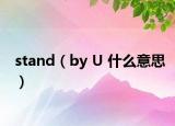 stand（by U 什么意思）