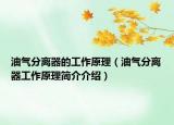 油氣分離器的工作原理（油氣分離器工作原理簡介介紹）