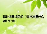 清補涼是涼的嗎（清補涼是什么簡介介紹）