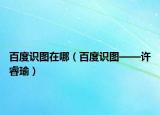 百度識圖在哪（百度識圖——許睿瑜）