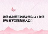 微信好友看不到朋友圈入口（微信好友看不到朋友圈入口）