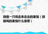 微信一只雞走來(lái)走去的表情（微信雞的表情什么意思）