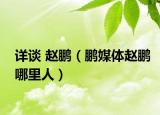 詳談 趙鵬（鵬媒體趙鵬哪里人）