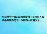 小藍是個什么app怎么使用（有沒有人知道小藍軟件是干什么的有人在用么）