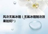 風冷無氟冰箱（無氟冰箱制冷效果如何?）