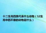 十二生肖四象代表什么動物（12生肖中四不像的動物是什么）