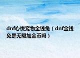dnf心悅寵物金錢(qián)兔（dnf金錢(qián)兔是無(wú)限加金幣嗎）