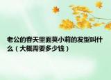 老公的春天里面莫小莉的發(fā)型叫什么（大概需要多少錢）